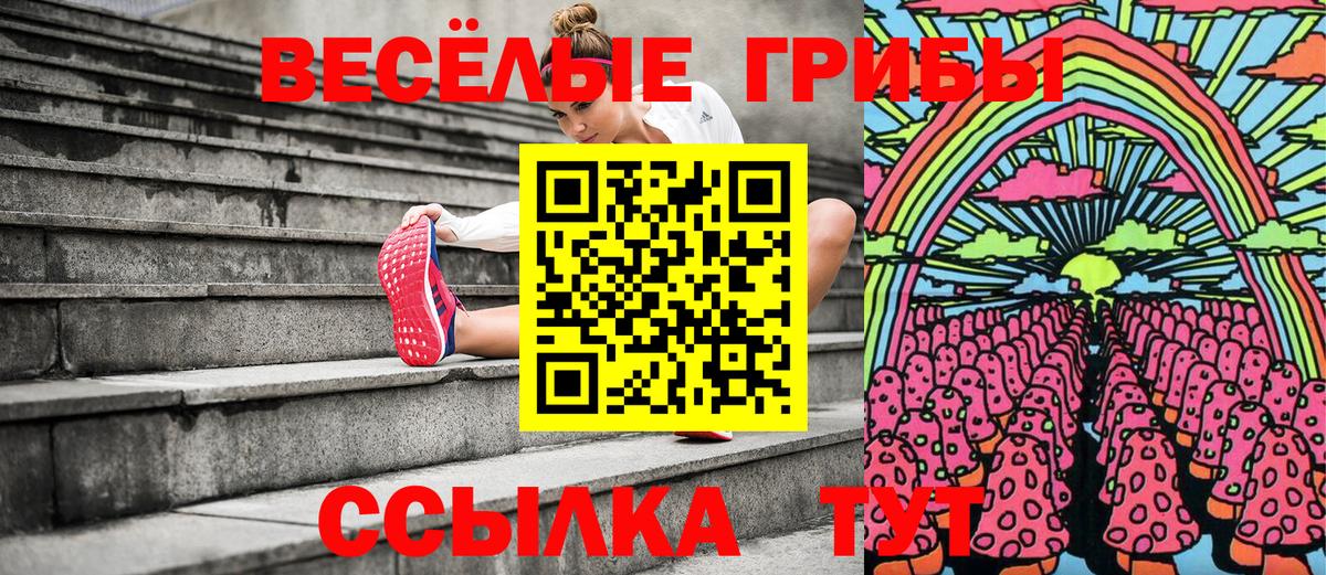 Ейск  Псилоцибиновые грибы MAGIC MUSHROOMS  Псилоцибиновые грибы прущие грибы  Вход с VPN 